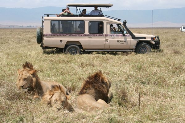 YOK ARTIK! MECLİS HEYETİ AFRİKA’DA SAFARİ’YE KATILACAK!