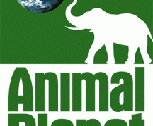 KKTC REKLAMLARI ANIMAL PLANET’TE…!!!