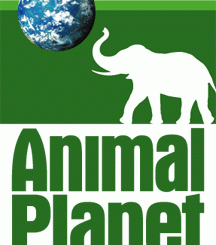 KKTC REKLAMLARI ANIMAL PLANET’TE…!!!