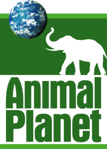 KKTC REKLAMLARI ANIMAL PLANET’TE…!!!