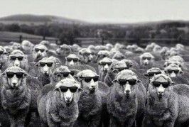 MANDIRA TİMES’TAN BÜYÜK HİZMET…