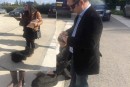 ŞOK! ANASTASİADİS’İN KÖPEĞİNİ KIBRISLI TÜRK GAZETECİLER Mİ KAÇIRDI?